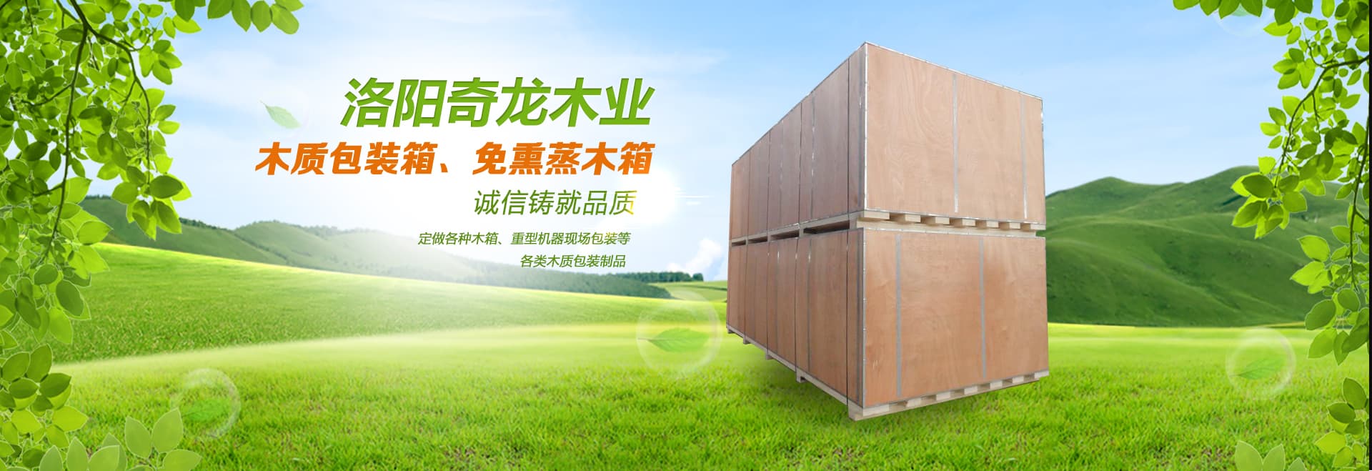 洛陽(yáng)免熏蒸木箱-洛陽(yáng)洛南奇龍木材